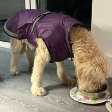 Load image into Gallery viewer, DryDogs 3-in-1 Dog Coat for all Weather with Harness Hole