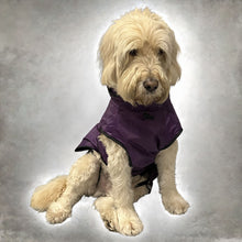 Load image into Gallery viewer, DryDogs 3-in-1 Dog Coat for all Weather with Harness Hole