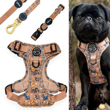 Load image into Gallery viewer, Disney Dogs Collection: Harnesses / Collars / Leads