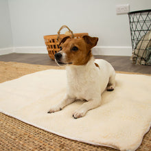 Load image into Gallery viewer, cream self heating dog pad