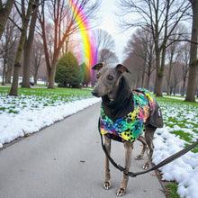 Load image into Gallery viewer, greyhound and whippet coats for winter - rainbow paw design