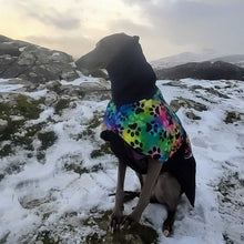 Load image into Gallery viewer, Dog wearing a colorful coat sitting on a snowy landscape with mountains in the background