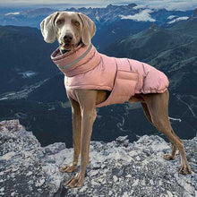 Load image into Gallery viewer, Puffa - Padded/Quilted Dog coat with Underbelly Protection