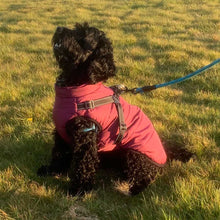 Load image into Gallery viewer, built in harness dog coat for winter