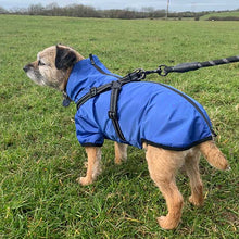 Load image into Gallery viewer, blue dog coat with built in harness