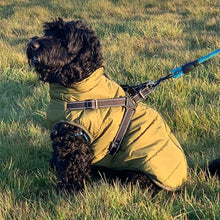 Load image into Gallery viewer, cockerpoo dog coat wit built in harness