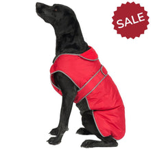 Load image into Gallery viewer, dog coat with harness hole