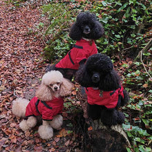 Load image into Gallery viewer, poodle coats