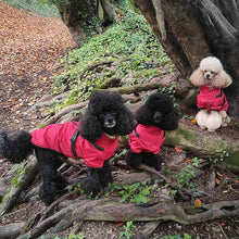 Load image into Gallery viewer, lightweight poodle coat
