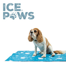 Load image into Gallery viewer, cooling dog bed. lie on it to quickly reduce your dogs temperature
