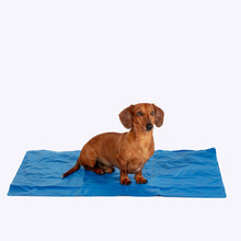 Load image into Gallery viewer, Dog Cooling Matress