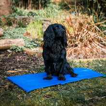 Load image into Gallery viewer, Dog Cooling Matress