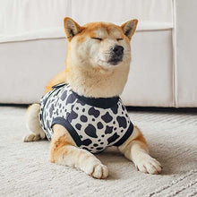 Load image into Gallery viewer, comfortable dog recovery suit for after operation