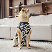 Load image into Gallery viewer, post operation dog recovery suit