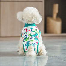 Load image into Gallery viewer, dog jumper for post surgery