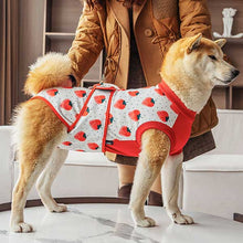 Load image into Gallery viewer, best suit to be worn by dog after surgery