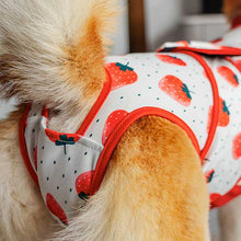 Load image into Gallery viewer, post surgery recovery suit for dog