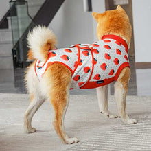 Load image into Gallery viewer, dog recovery suit