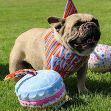 Load image into Gallery viewer, Party Range- Cake with Candle Dog Toy