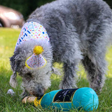 Load image into Gallery viewer, Party Range- &#39;Pawty&#39; Champagne Dog Toy
