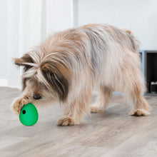 Load image into Gallery viewer, Natural Rubber Dog Snack Toys