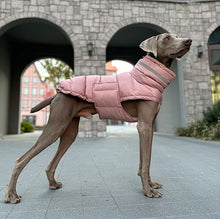 Load image into Gallery viewer, Puffa - Padded/Quilted Dog coat with Underbelly Protection