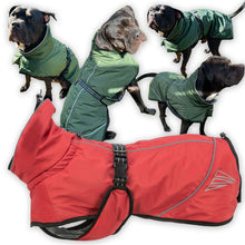 Load image into Gallery viewer, A dog coat shown in multiple views: one large flat product view in red in the foreground and three smaller dog models wearing the coat in green and red. The product appears to be a waterproof pet coat with a hood, black trim, and reflective gray piping.