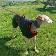 Load image into Gallery viewer, super warm sighthound coat with harness hole zip