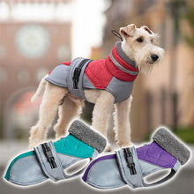 Load image into Gallery viewer, quilted dog coat with harness hole