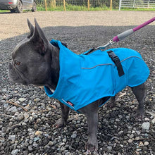 Load image into Gallery viewer, french bull dog waterproof coat