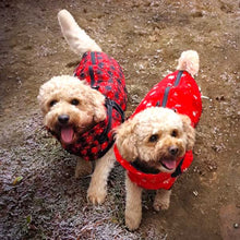 Load image into Gallery viewer, best winter dog coat