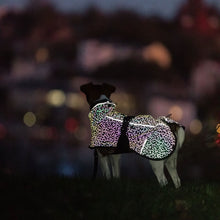 Load image into Gallery viewer, Limoux - Lightweight Rainbow Reflective Dog Coat