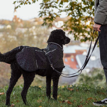 Load image into Gallery viewer, Limoux - Lightweight Rainbow Reflective Dog Coat