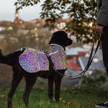 Load image into Gallery viewer, Limoux - Lightweight Rainbow Reflective Dog Coat