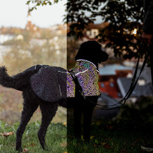 Load image into Gallery viewer, Limoux - Lightweight Rainbow Reflective Dog Coat