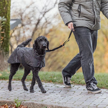 Load image into Gallery viewer, Limoux - Lightweight Rainbow Reflective Dog Coat