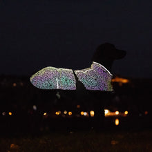 Load image into Gallery viewer, Limoux - Lightweight Rainbow Reflective Dog Coat