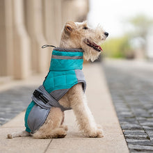 Load image into Gallery viewer, green dog coat with leg straps and harness hole