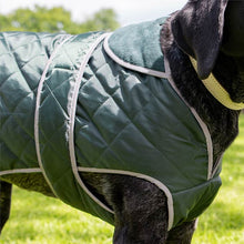 Load image into Gallery viewer, dog coat with fold back collar