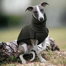 Load image into Gallery viewer, whippet jumper base layer in green