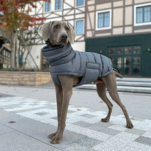 Load image into Gallery viewer, Puffa - Padded/Quilted Dog coat with Underbelly Protection