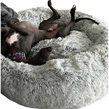 Load image into Gallery viewer, Greyhound in giant dog bed