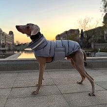 Load image into Gallery viewer, Puffa - Padded/Quilted Dog coat with Underbelly Protection