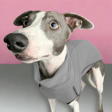 Load image into Gallery viewer, Fleece Sighthound Base-Layer Coat with Underbelly and Snood