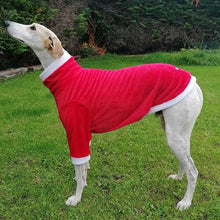 Load image into Gallery viewer, Christmas jumper for greyhounds
