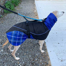 Load image into Gallery viewer, Felton - Sighthound Coat with Underbelly and Harness Hole