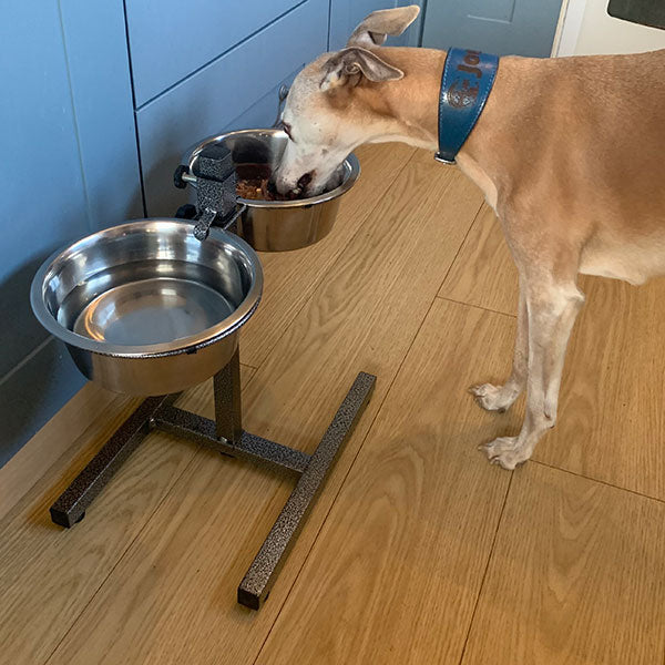 Sighthound Raised Feeding Bowls and Stand