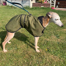 Load image into Gallery viewer, green whippet dog coat with harness hole for summer use