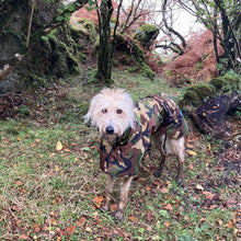 Load image into Gallery viewer, Camouflage Felton - Sighthound Coat with Underbelly and Harness Hole