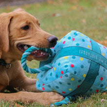 Load image into Gallery viewer, happy birthday present dog toy blue